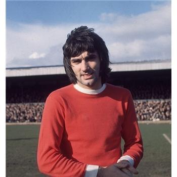 拉菲尼亚是 拉菲尼亚是