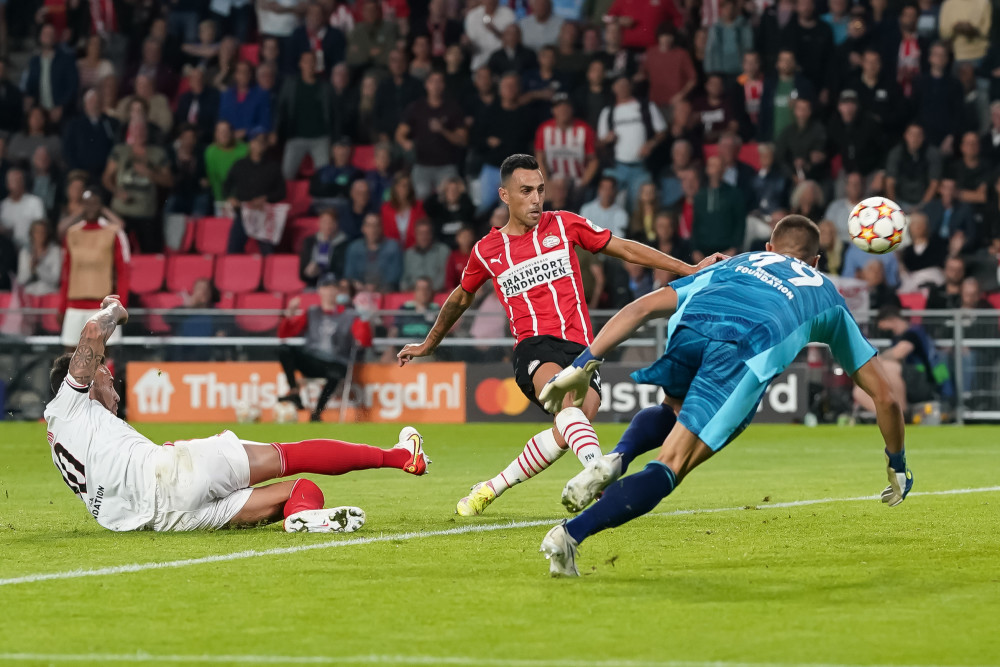 李鲤认为 李鲤认为