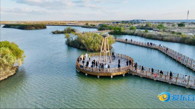 充满了惊喜 充满了惊喜