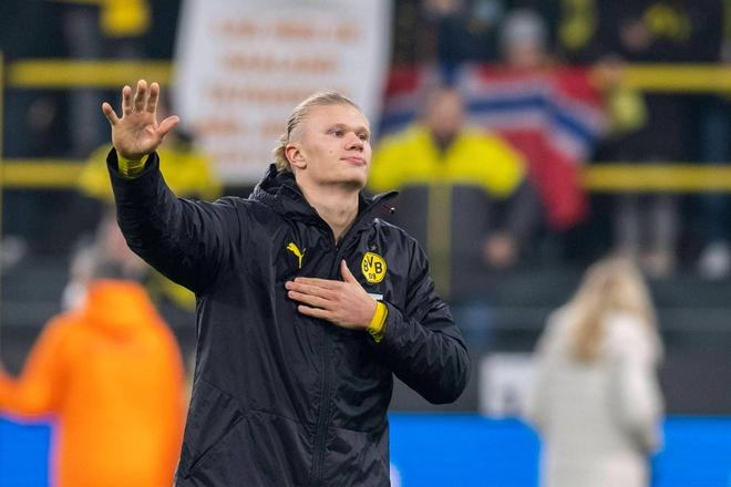 保护篮板的 保护篮板的